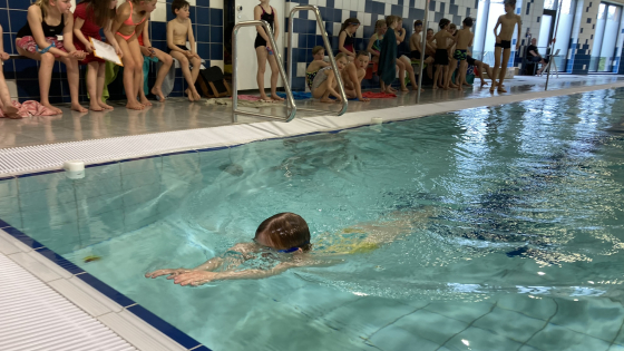 Gemeente Deerlijk - Vrijetijdspromotie - zwemmeeting